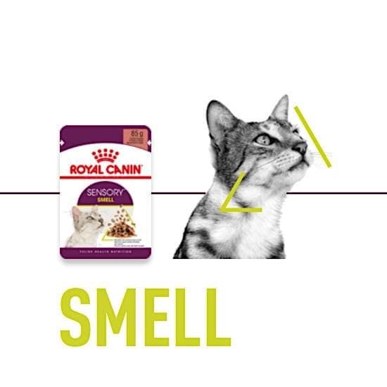 Royal Canin Våtfoder Sensory Smell 85g - 2