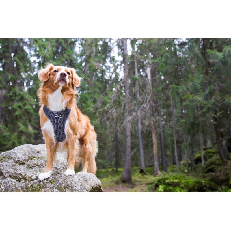 Rukka Sele Comfort Air Granitgrå - 2