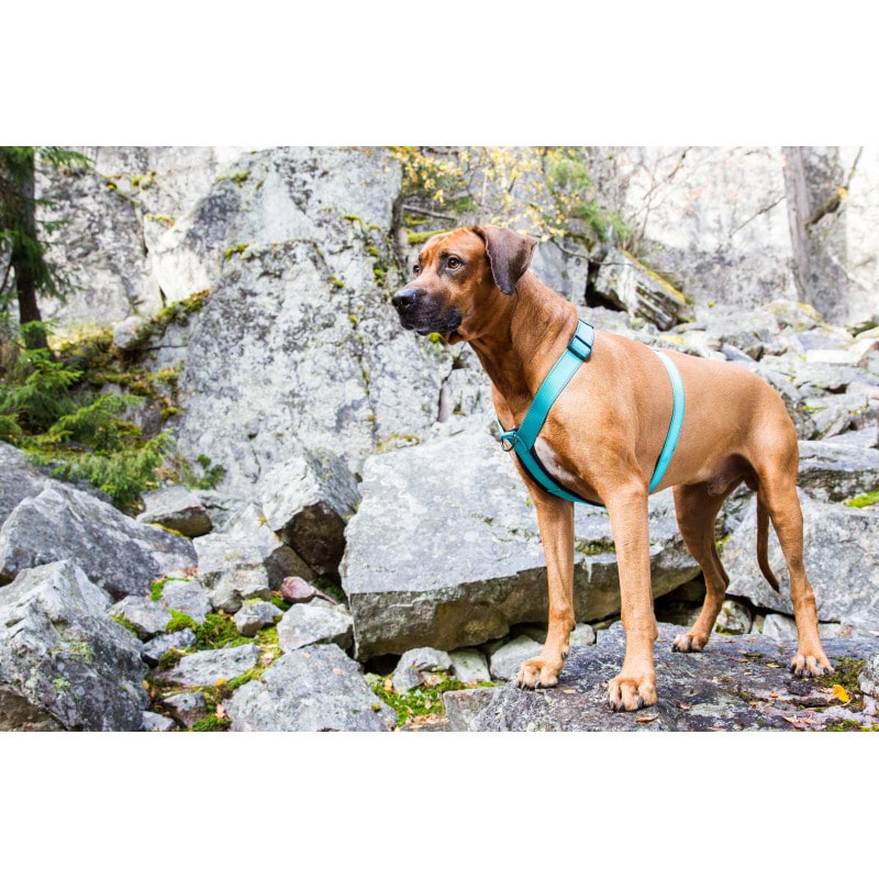 Rukka Y-Sele Form Turkos - 2