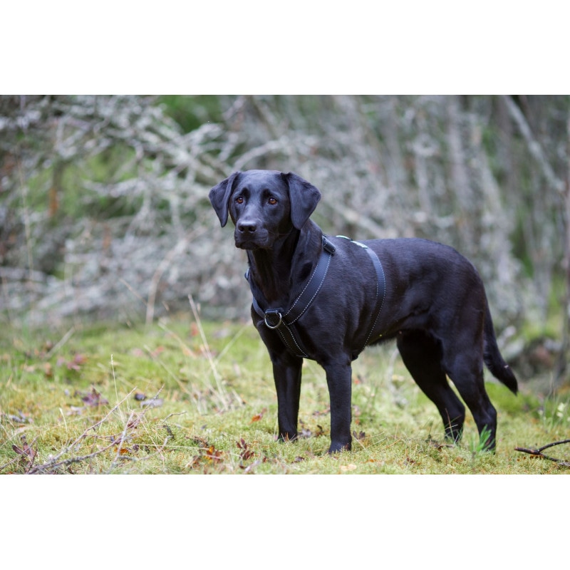 Rukka Y-Sele Form svart - 2