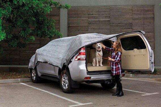 Silverduk PetNation - 2