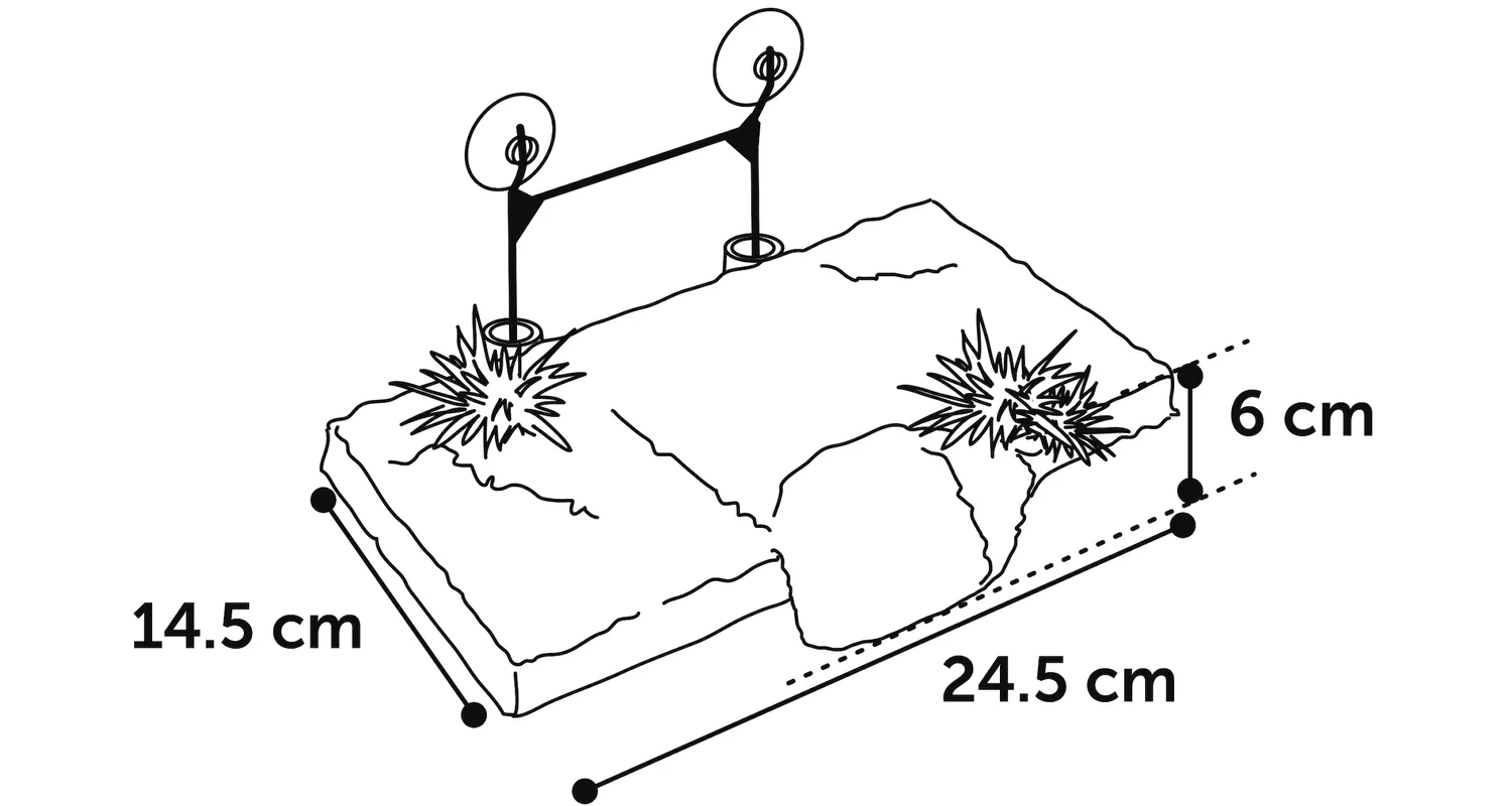 Turtle Island Small 24x14x6cm - 2