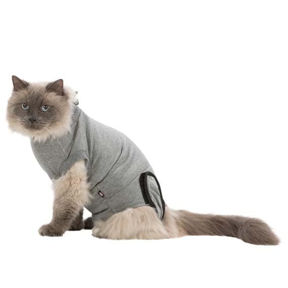 Skyddande kattbody, skyddar operationssår