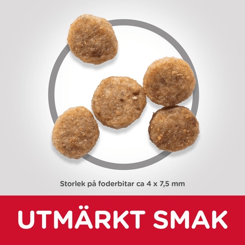 Hill's hund Senior 11+ small/mini 1,5kg - 2