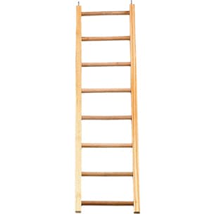 Stege papegoja/parakit 65cm