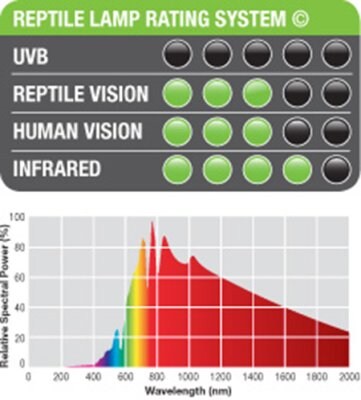Daylight Basking spot - 2