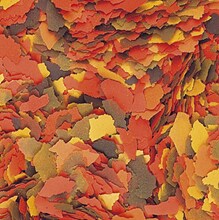 Tropical Supervit Flakes 1kg påse