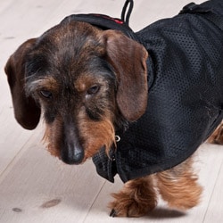 Back on Track Taxtäcke nät - 2