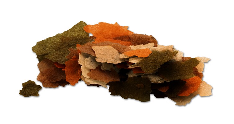 TetraMin Flakes 100ml/20g - 2