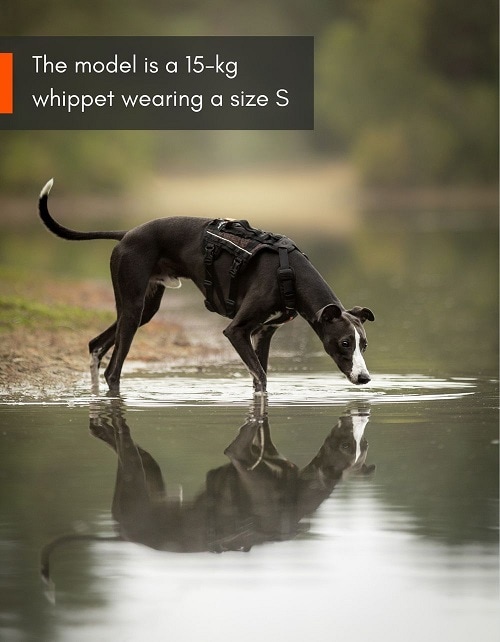 Non-Stop Rock Harness Long, flera storlekar