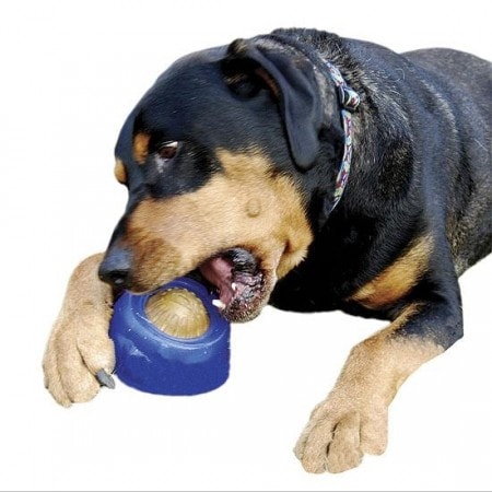 Treat Ball Small - 2