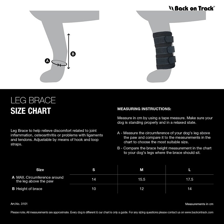 Back on Track Benskydd