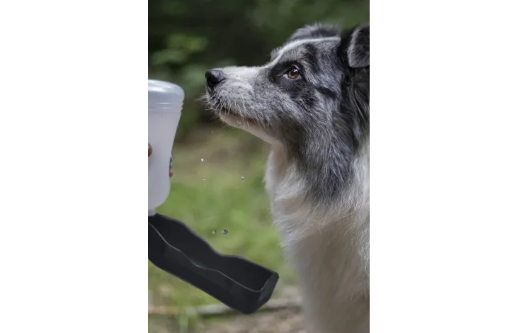 Vattenflaska 500ml - 2