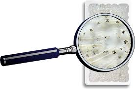 Levande Vita Mygglarver/Tubifex - 2