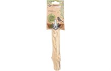 Sittpinne Coffe tree Small 2-3cm/20cm