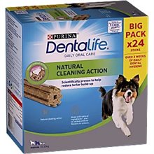Dentalife Medium 24-pack