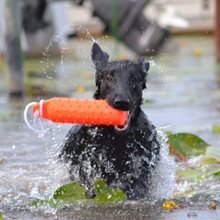 Dummy Gummi flytande 5,5cm/26cm dogman