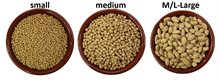 Zupreem Pellets M/L Large Birds 1,5kg
