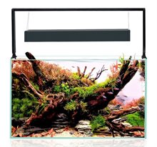 AquaEL Ultrascape 60 inkl bänk Forest Set