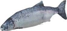 Sprattlande fisk m catnip 30cm inkl. USB-laddare