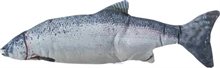 Sprattlande fisk m catnip 30cm inkl. USB-laddare