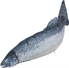 Sprattlande fisk m catnip 30cm inkl. USB-laddare