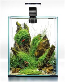 AquaEL Shrimp Set Day&Night 19L Svart