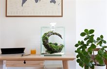 AquaEL Shrimp Set Day&Night 19L Svart