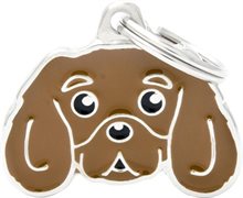 ID-bricka Cavalier Brun