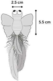 Alea Butterfly med kattmynta 17cm