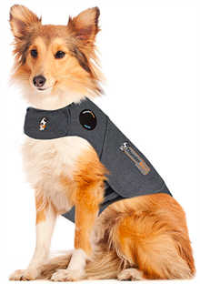 Thundershirt flera storlekar