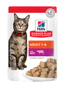 Hill's katt adult chicken, beef & ocean fish 12x85g