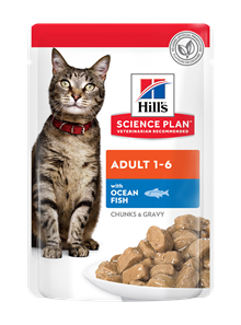 Hill's katt adult chicken, beef & ocean fish 12x85g