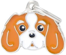 ID-bricka Cavalier Röd/vit