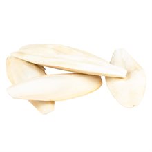 Sepiaskal 100g