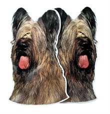 Dekal Hund medium 2-pack