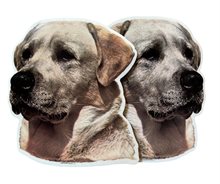 Dekal Hund medium 2-pack