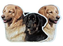 Dekal Hund medium 2-pack