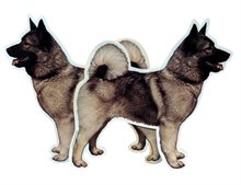 Dekal Hund medium 2-pack