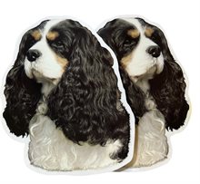 Dekal Hund medium 2-pack