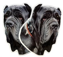 Dekal Hund medium 2-pack