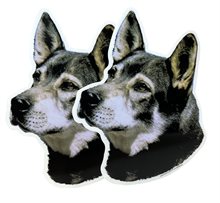 Dekal Hund medium 2-pack