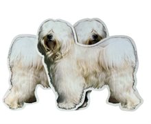 Dekal Hund medium 2-pack