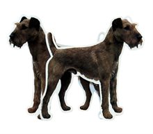 Dekal Hund medium 2-pack