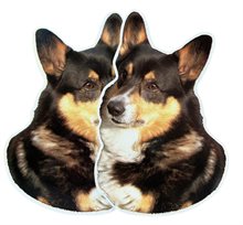 Dekal Hund medium 2-pack