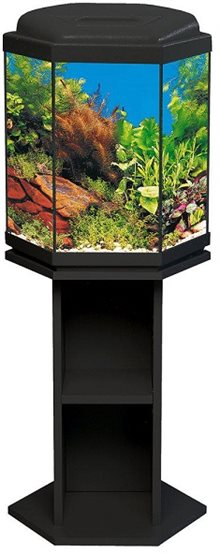 Akvarium 6-kant 48L med bänk & ramp