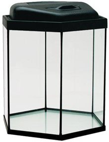 Akvarium 6-kant 17L med ramp