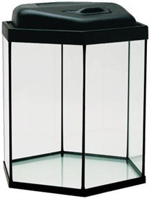 Akvarium 6-kant 30L med ramp
