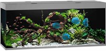 Juwel Rio 450 LED Akvarium flera färger