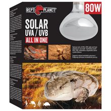 RP Solar UVB 80W